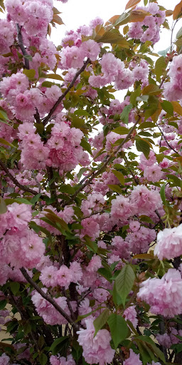 Grocery Store «Grocery Outlet Bargain Market», reviews and photos, 70 N West End Blvd, Quakertown, PA 18951, USA