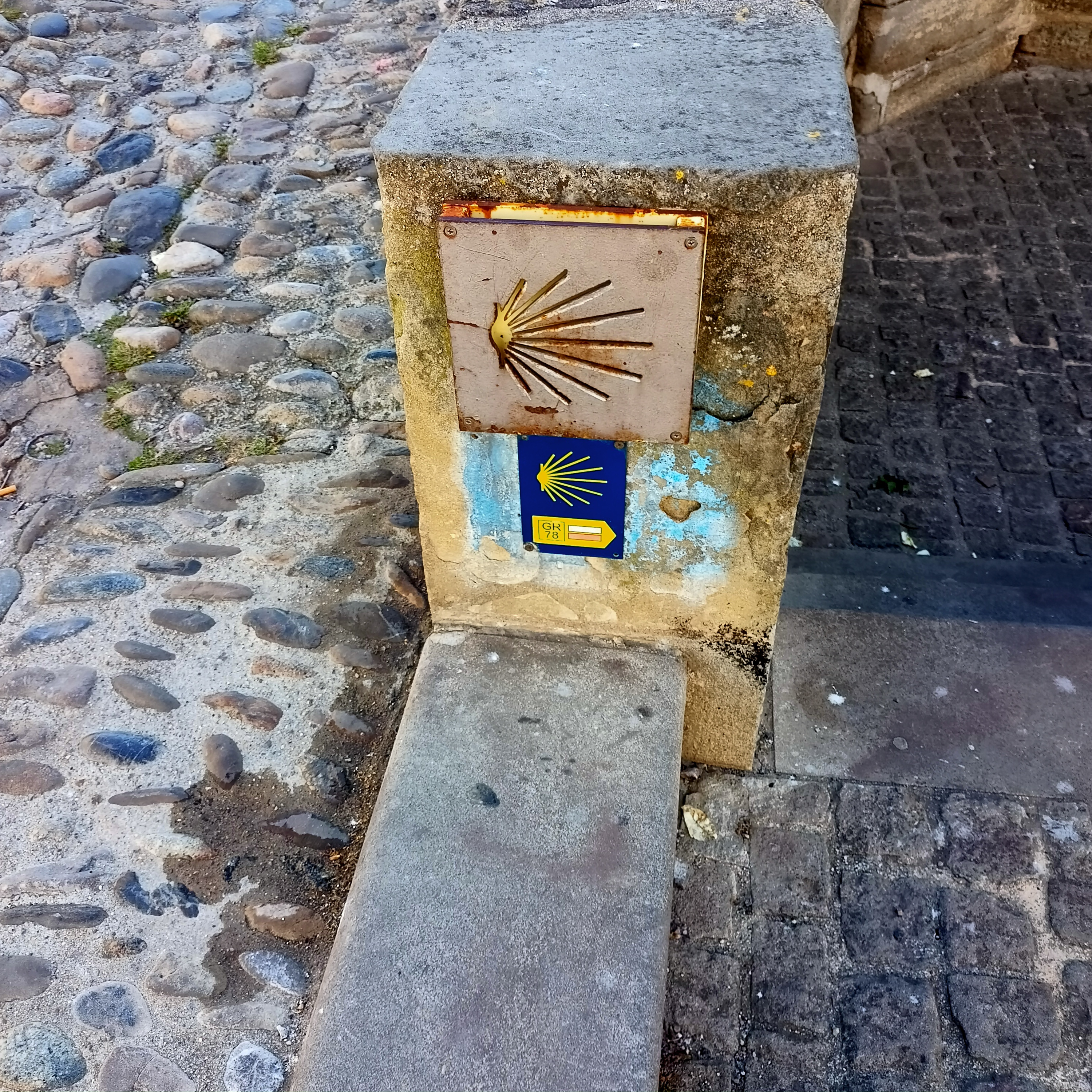 Photo n° 2 de l'avis de Salvador.a fait le 09/04/2023 à 12:19