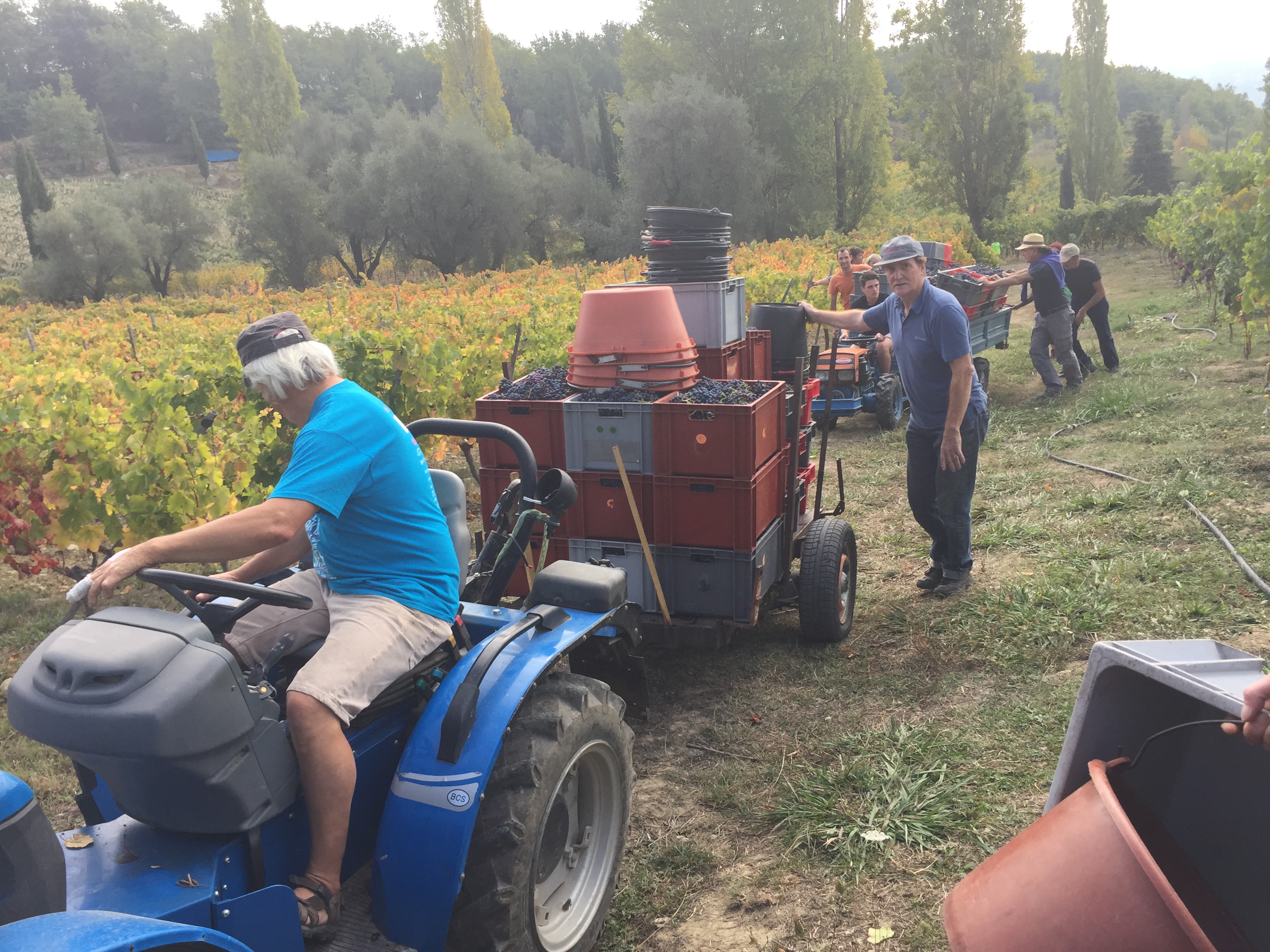 Photo n° 4 de l'avis de Tom.o fait le 03/10/2017 à 13:48