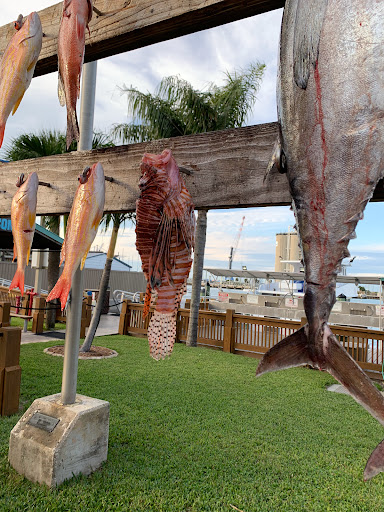 Fishing Charter «Obsession Fishing Charters», reviews and photos, 505 Glen Cheek Dr, Cape Canaveral, FL 32920, USA