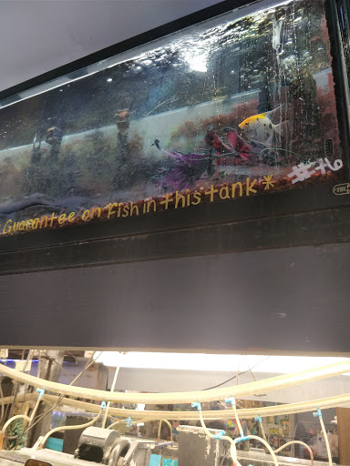 Pet Store «Pet Connection», reviews and photos, 1441 W State St, Alliance, OH 44601, USA