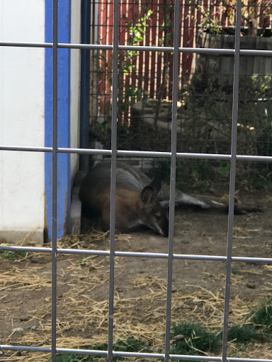 Reptile Store «Sierra Aquatics», reviews and photos, 295 Kietzke Ln, Reno, NV 89502, USA