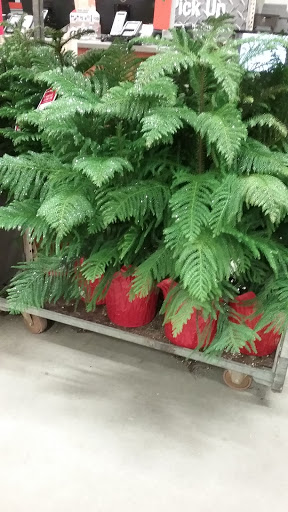 Home Improvement Store «The Home Depot», reviews and photos, 301 S Research Pl, Central Islip, NY 11722, USA