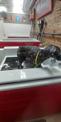 Pet Store «Firehouse Pet Shop & Grooming», reviews and photos, 17 S Wenatchee Ave, Wenatchee, WA 98801, USA