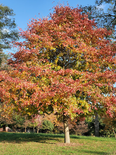 Nature Preserve «Creasey Mahan Nature Preserve», reviews and photos, 12501 Harmony Landing Rd, Goshen, KY 40026, USA