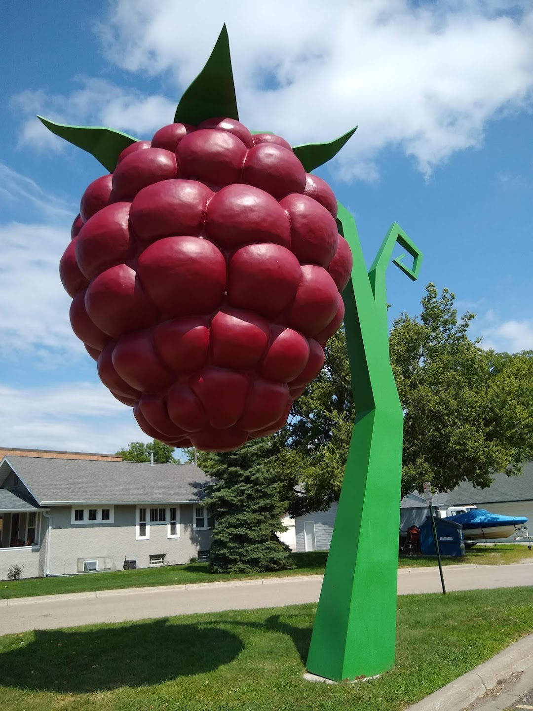 Giant Raspberry