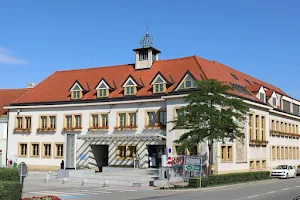 Rathaus der Stadtgemeinde Traiskirchen image