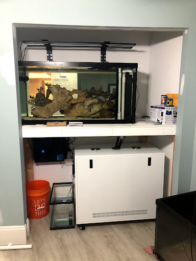 Tropical Fish Store «Hooked On Reefs», reviews and photos, 228 Hibiscus St #1, Jupiter, FL 33458, USA