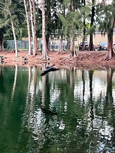 Park «Wolf Lake Park», reviews and photos, 5400 SW 76th Ave, Davie, FL 33314, USA