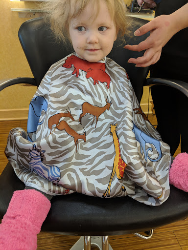 Hair Salon «Regis Salon», reviews and photos, 4444 1st Ave NE #60, Cedar Rapids, IA 52402, USA