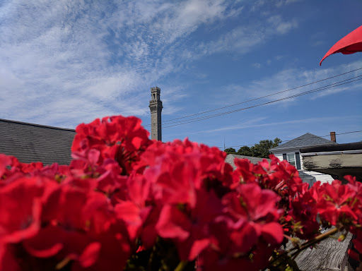 Monument «Pilgrim Monument», reviews and photos, 1 High Pole Hill Rd, Provincetown, MA 02657, USA