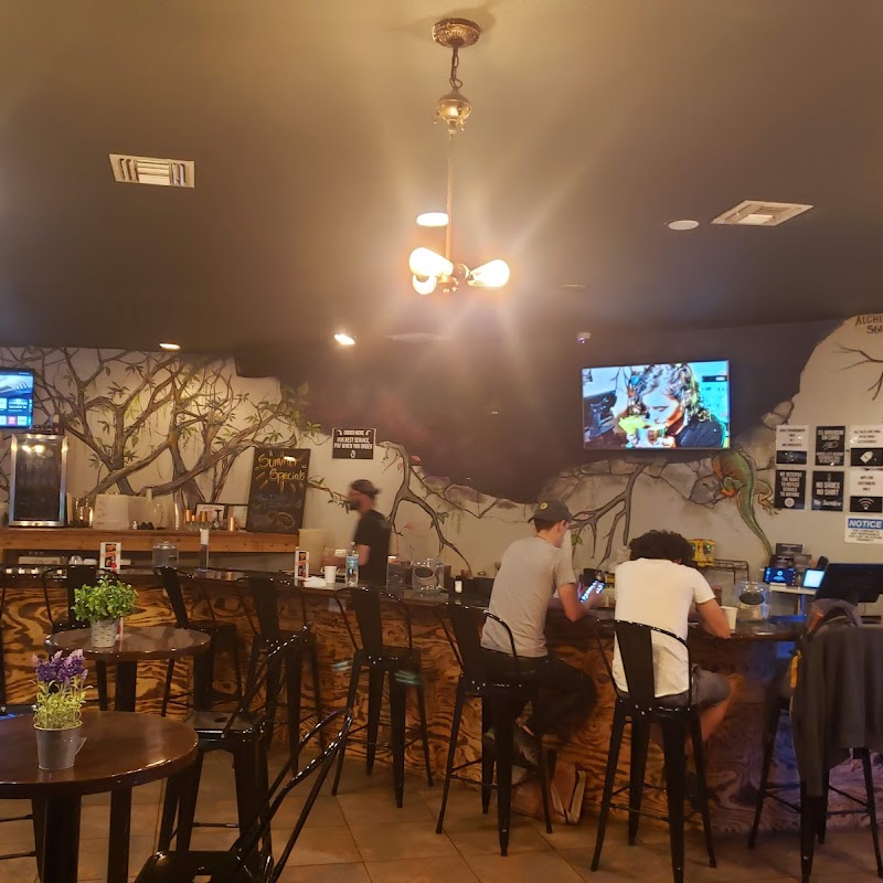 Roots Miami Kava Bar & Eatery