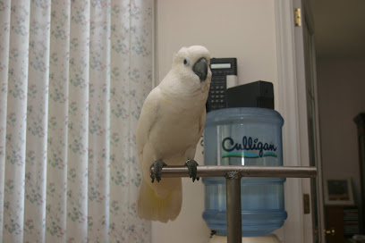 Lori's Bird Sitting Services - Certified Avian Specialist