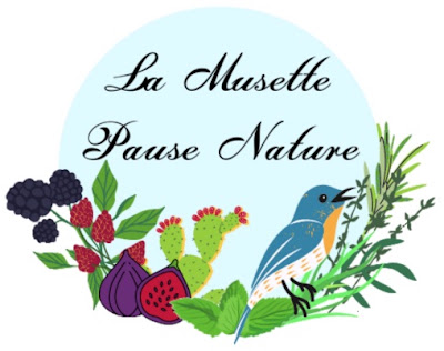 La Musette Pause-Nature à Saint-Christoly-de-Blaye
