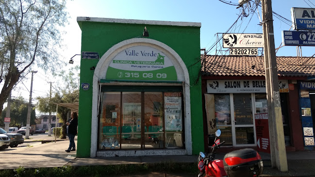 Opiniones de Clínica Veterinaria Valle Verde en Puente Alto - Veterinario