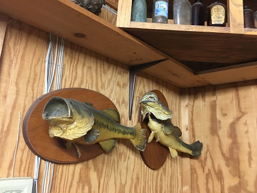 Grocery Store «Shelby Forest General Store», reviews and photos, 7729 Benjestown Rd, Millington, TN 38053, USA