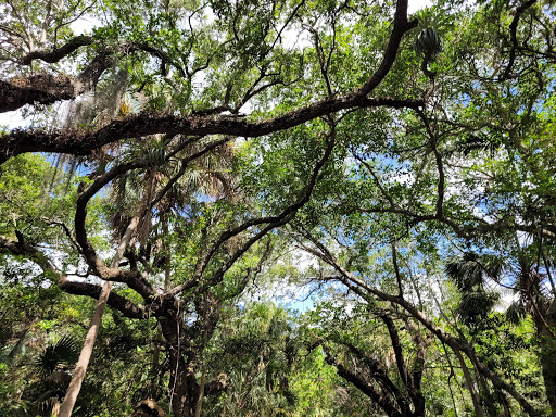 State Park «Hugh Taylor Birch State Park», reviews and photos, 3109 E Sunrise Blvd, Fort Lauderdale, FL 33304, USA