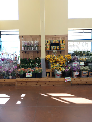 Craft Store «Hobby Lobby», reviews and photos, 1991 Exeter Rd, Germantown, TN 38138, USA