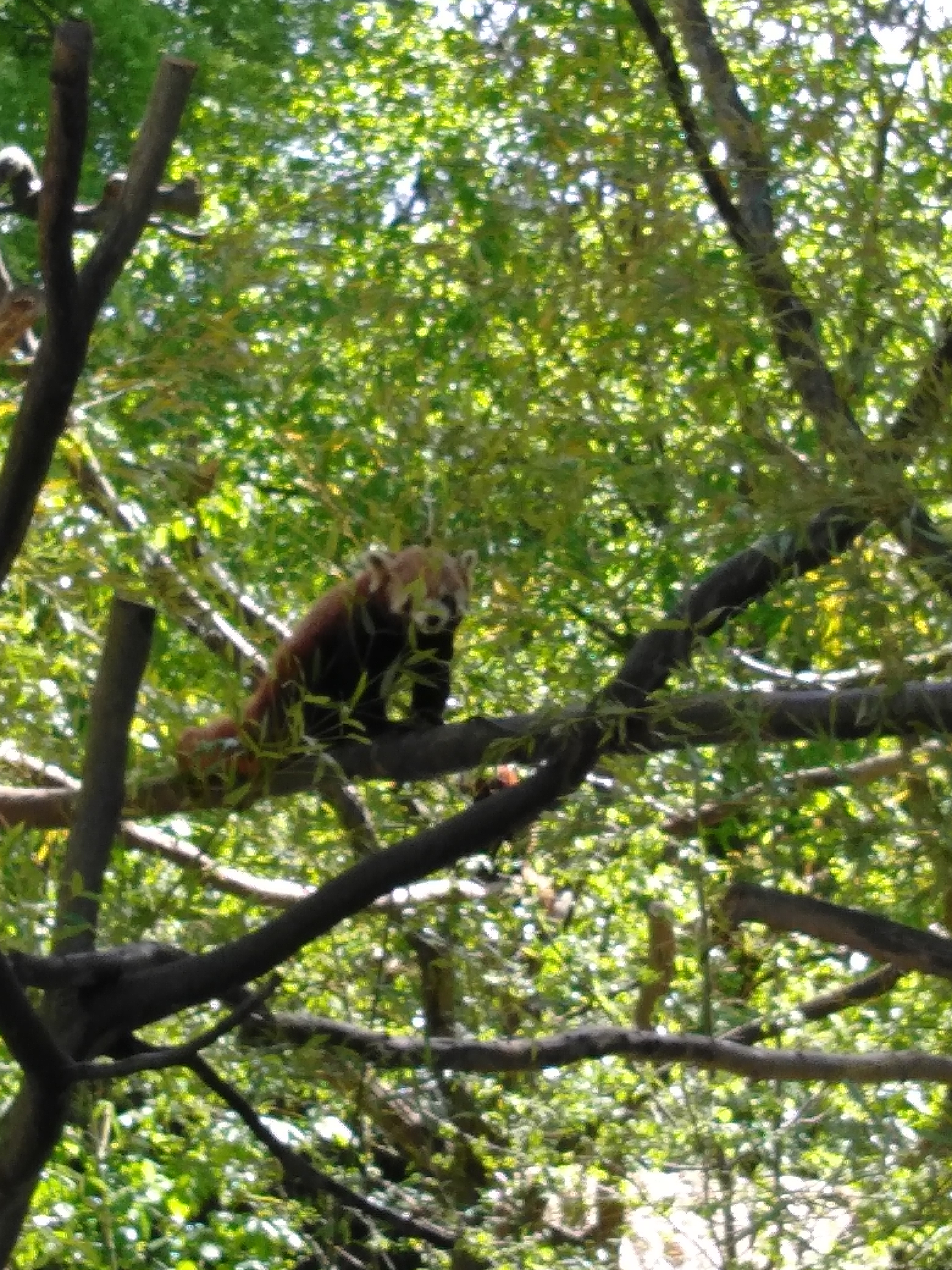 Photo n° 11 de l'avis de Francois.u fait le 08/05/2019 à 16:10