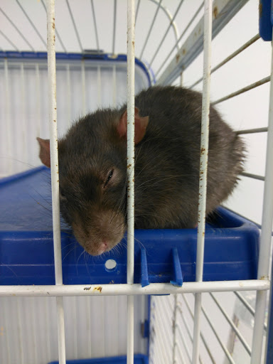 Animal Shelter «Heritage Humane Society», reviews and photos