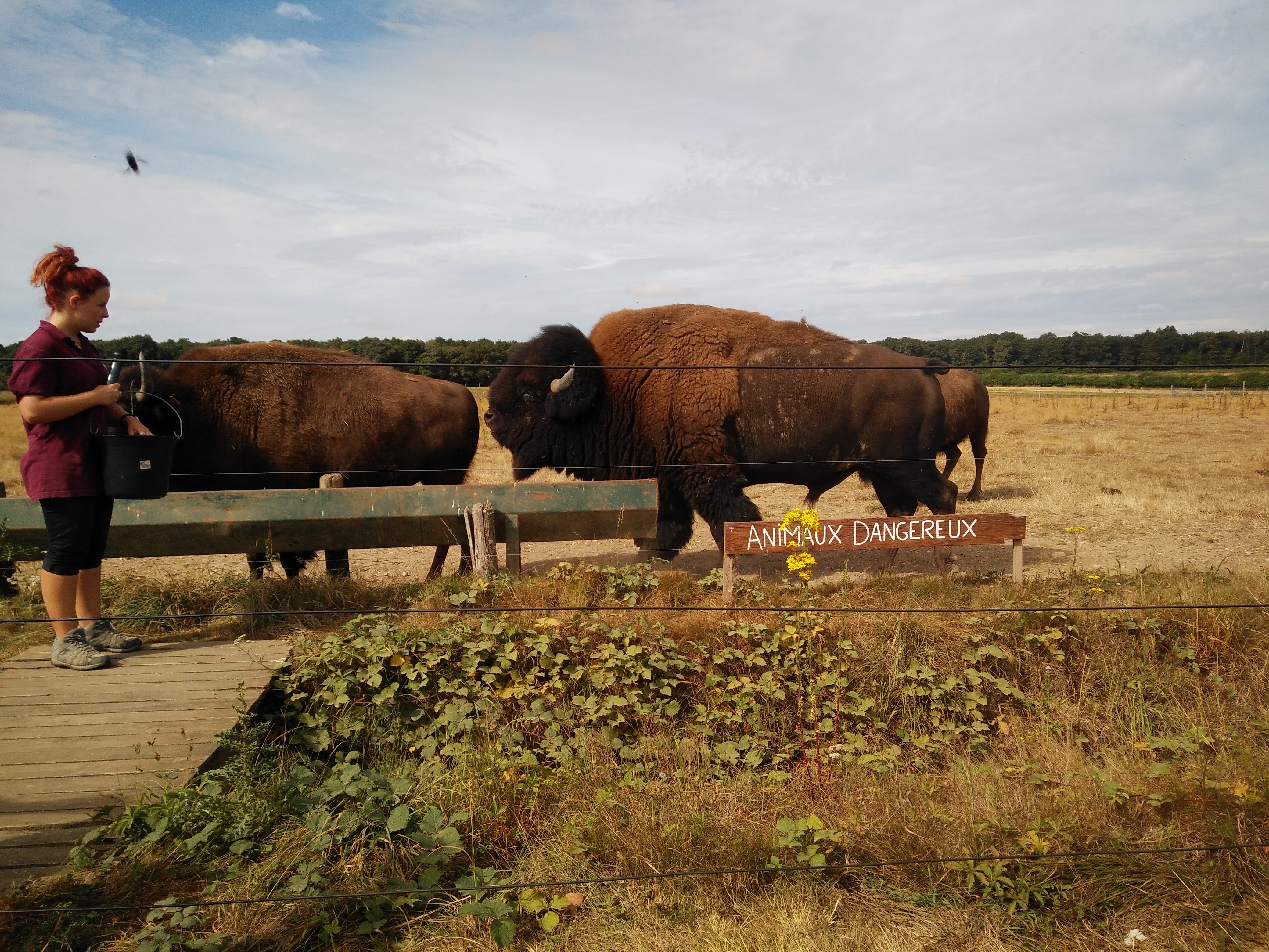 Photo n° 2 de l'avis de Steph.P fait le 23/08/2016 à 10:59