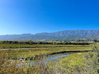 Carpinteria Salt Marsh Nature Park