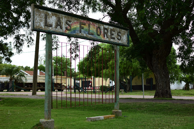 6M5G+7F3, 20303 Las Flores, Departamento de Maldonado, Uruguay
