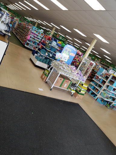 Dollar Store «Dollar Tree», reviews and photos, 823 N Broad St, Middletown, DE 19709, USA