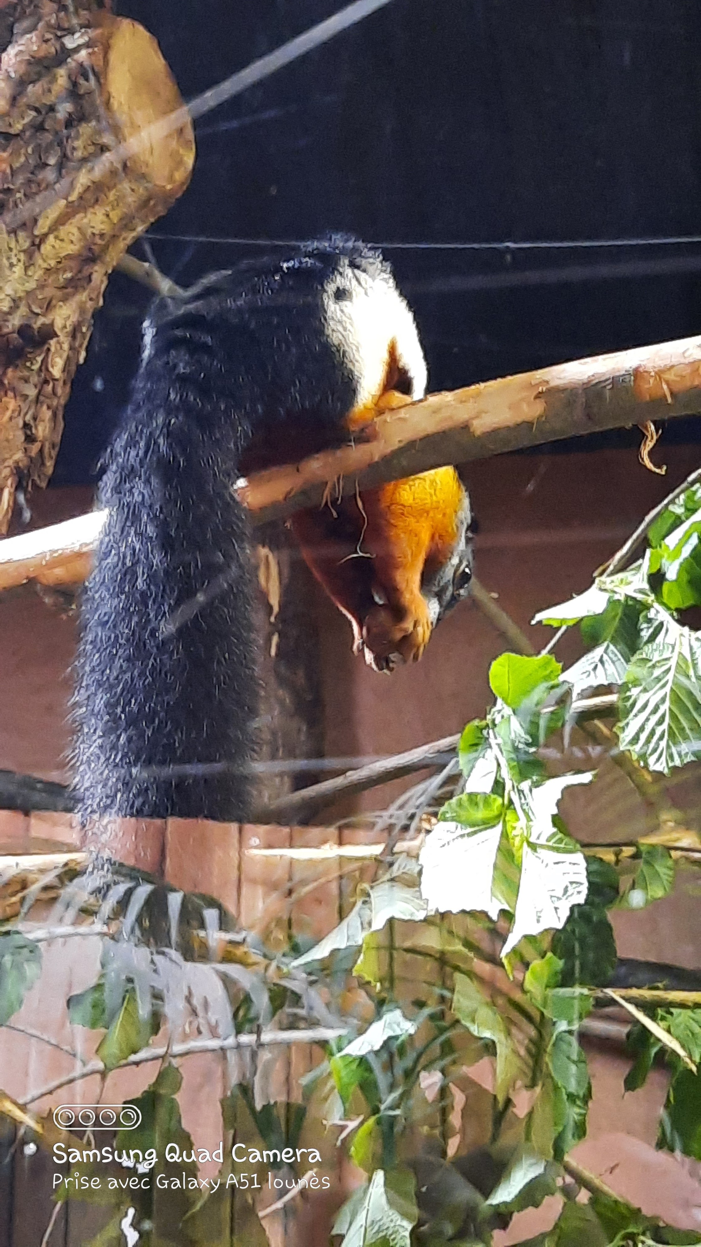 Photo n° 43 de l'avis de Lounes. fait le 02/06/2021 à 21:26