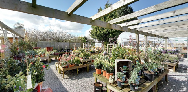 Comments and reviews of Elmwood Nursery & Garden Centre