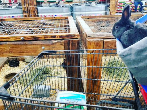 Department Store «Rural King», reviews and photos, 3201 IN-45, Bloomington, IN 47403, USA