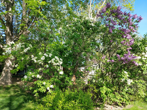 Private Golf Course «Olympic Hills Golf Club», reviews and photos, 10625 Mount Curve Rd, Eden Prairie, MN 55347, USA