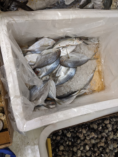 Asian Grocery Store «Far East Grocery Market Inc», reviews and photos, 734 Park St, Whitehall, PA 18052, USA