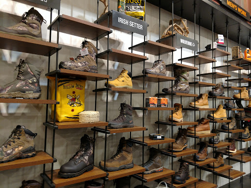 Outdoor Sports Store «Field & Stream», reviews and photos, 2075 Interchange Rd, Erie, PA 16509, USA