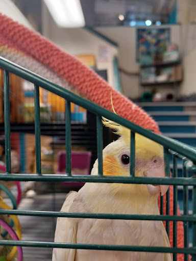 Pet Store «The Pet Works», reviews and photos, 1257 Commerce Ave, Longview, WA 98632, USA