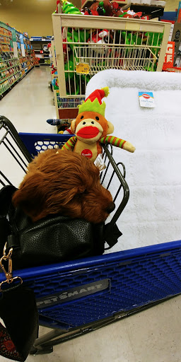 Pet Supply Store «PetSmart», reviews and photos, 6675 S Virginia St, Reno, NV 89511, USA