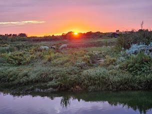Photo n°77 de Le Parc des Graves à Mornac-sur-Seudre ()