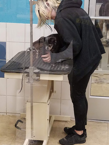 Pet Supply Store «Petco Animal Supplies», reviews and photos, 24001 Chagrin Blvd, Beachwood, OH 44122, USA