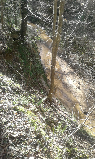 Nature Preserve «MaryAnn Brown Nature Preserve», reviews and photos, 13515 LA-965, St Francisville, LA 70775, USA