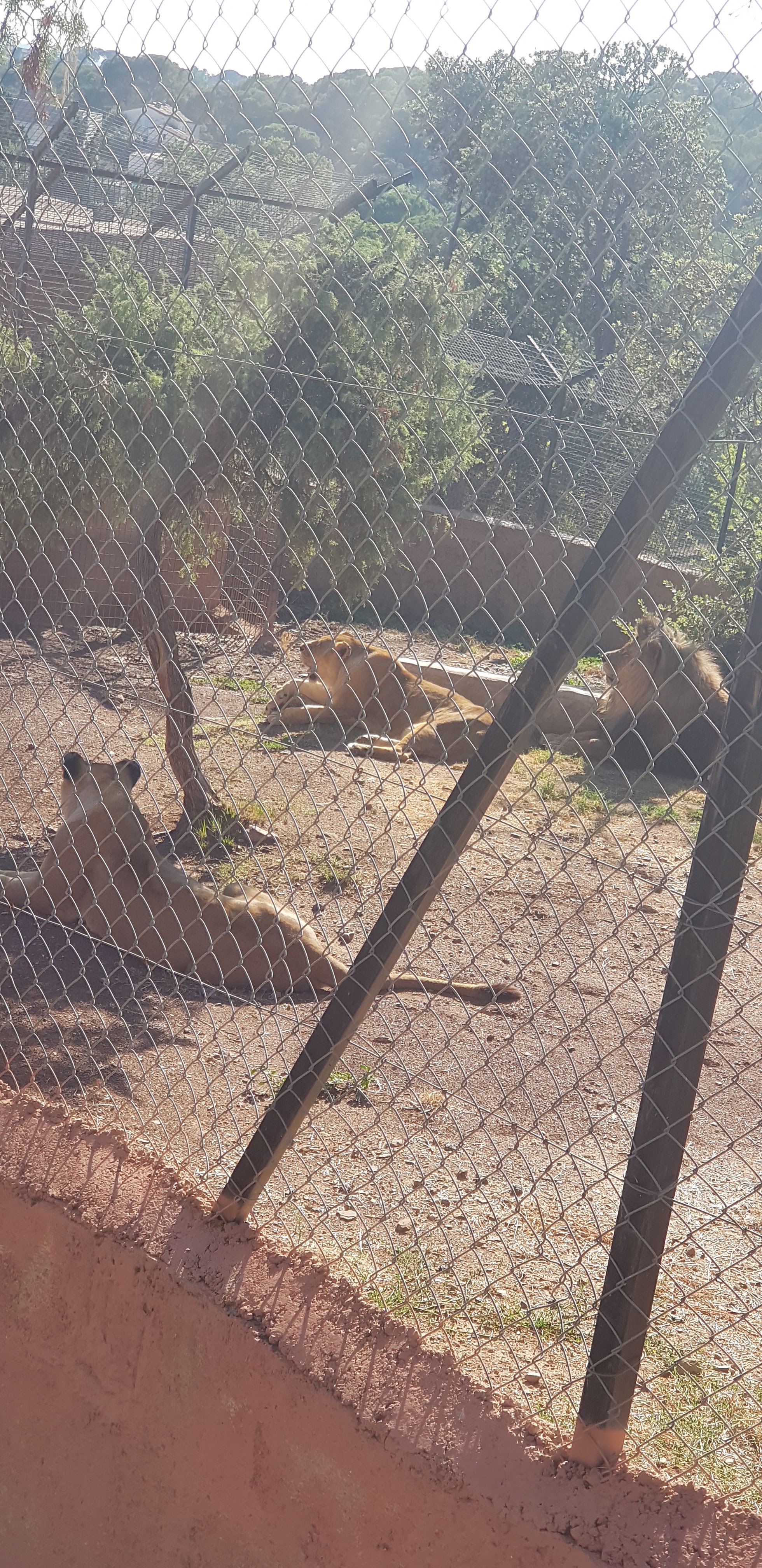 Photo n° 20 de l'avis de stephanie.a fait le 05/08/2018 à 15:29