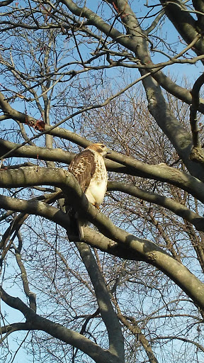 Park «Lake Front Park», reviews and photos, 23000 Jefferson Ave, St Clair Shores, MI 48080, USA