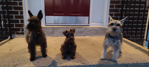 Pet Supply Store «Your Pet Experts», reviews and photos, 1665 State Hill Rd #490, Wyomissing, PA 19610, USA