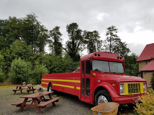 General Store «Skamania General Store & Beacon Rock Cafe», reviews and photos, 33001 WA-14, Stevenson, WA 98648, USA