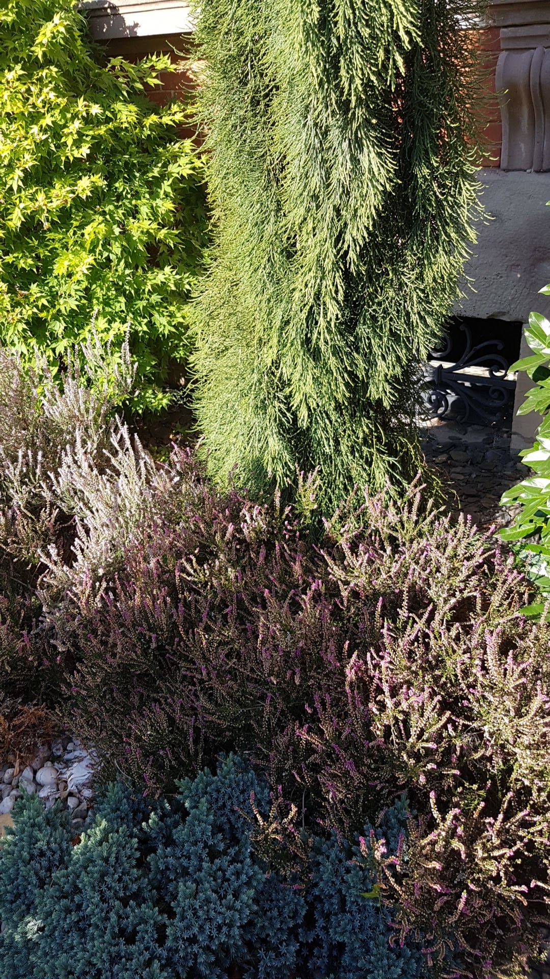 Photo n° 41 de l'avis de hugo.l fait le 20/08/2018 à 15:25