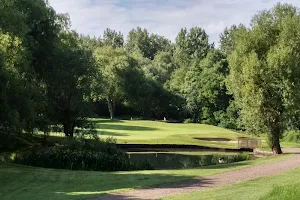 Downshire Golf Complex image