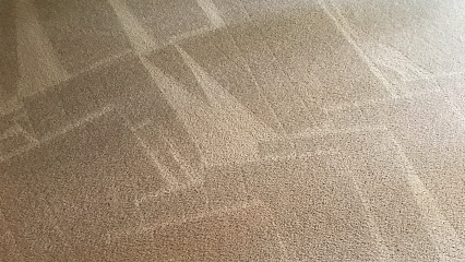 Dynamic Carpet Cleaning & Water Extraction