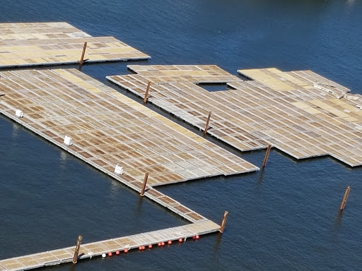 Museum «International Swimming Hall of Fame Museum», reviews and photos, 1 Hall of Fame Dr, Fort Lauderdale, FL 33316, USA