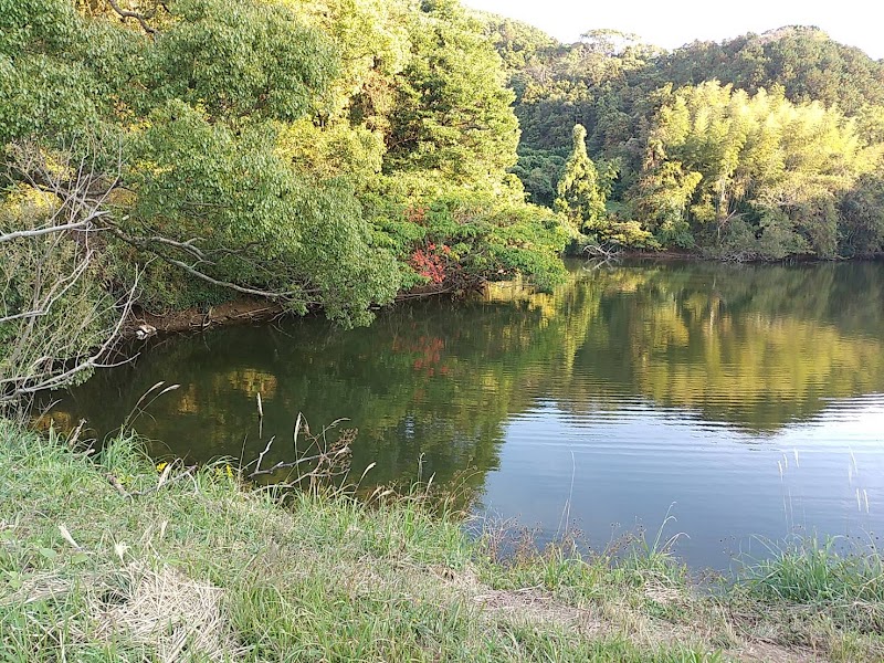 コモ田池