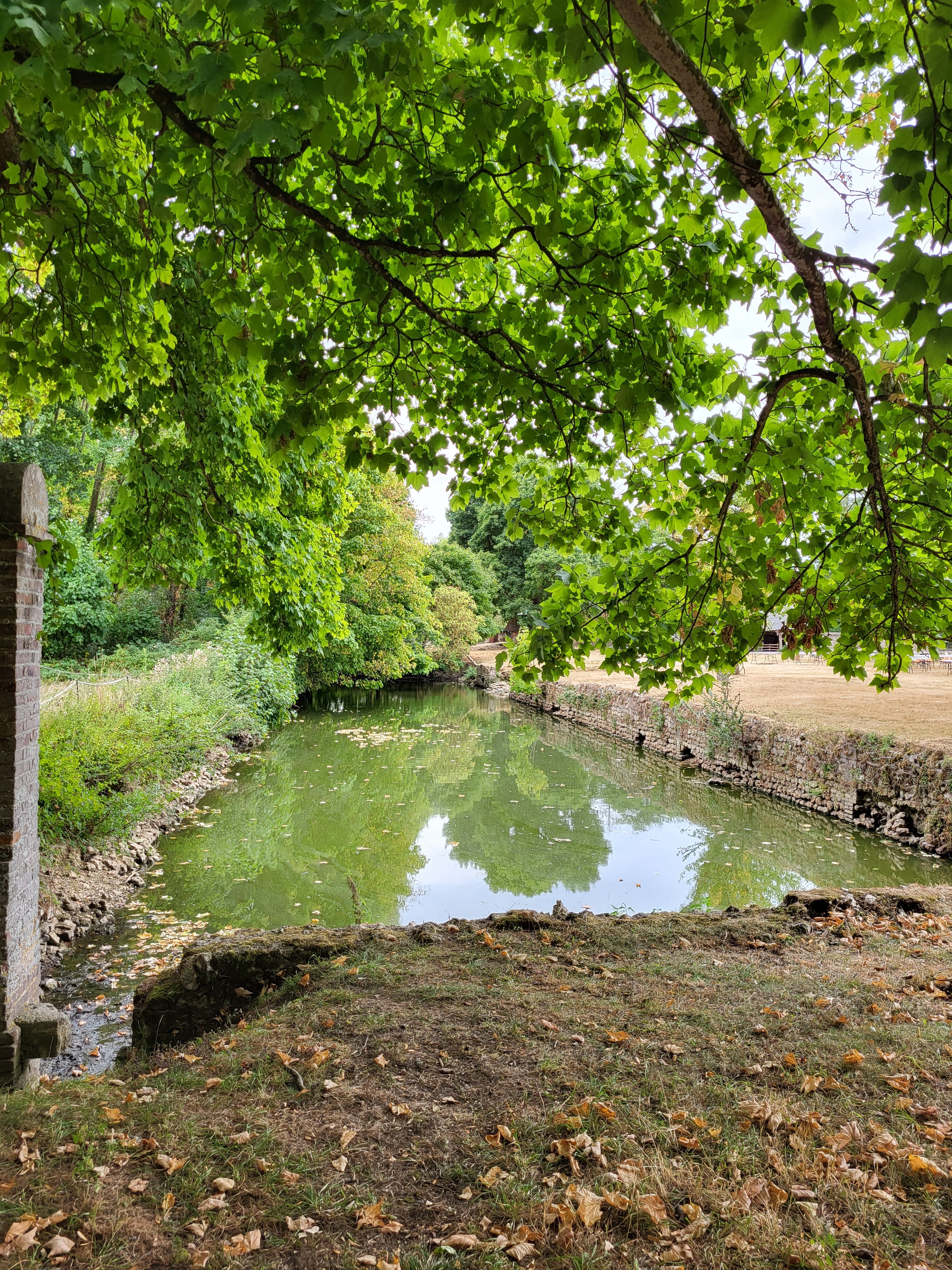 Photo n° 9 de l'avis de So.o fait le 10/09/2022 à 08:24