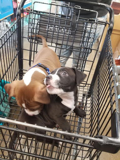 Pet Supply Store «Petco Animal Supplies», reviews and photos, 3870 N 124th St, Wauwatosa, WI 53222, USA